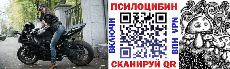 закладки  Тара  Галлюциногенные грибы мицелий 